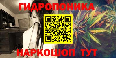 mdma Новодвинск