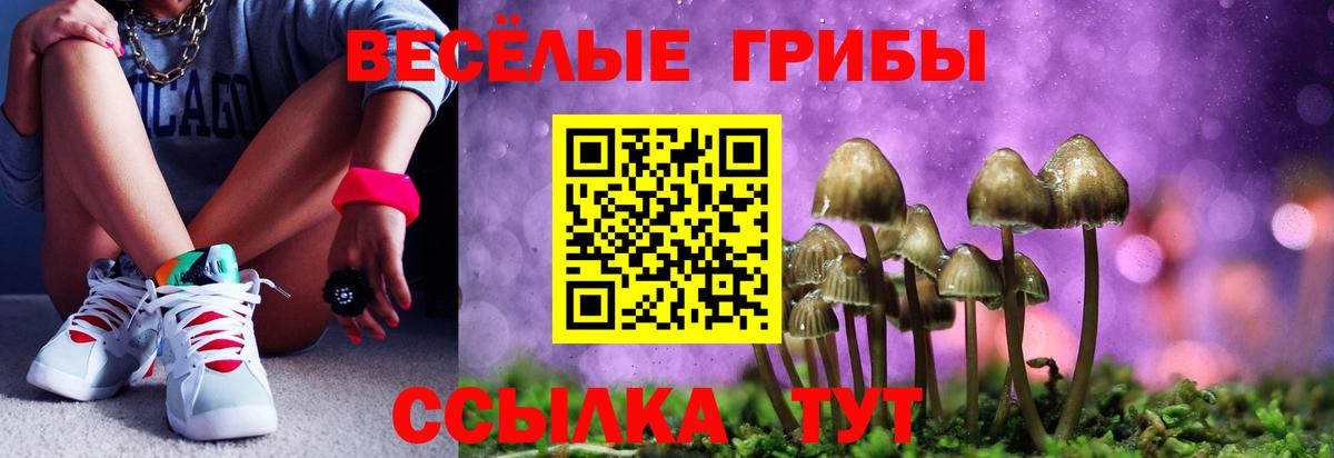 Псилоцибиновые грибы Psilocybine cubensis  Вход с VPN  где продают   Чебаркуль 