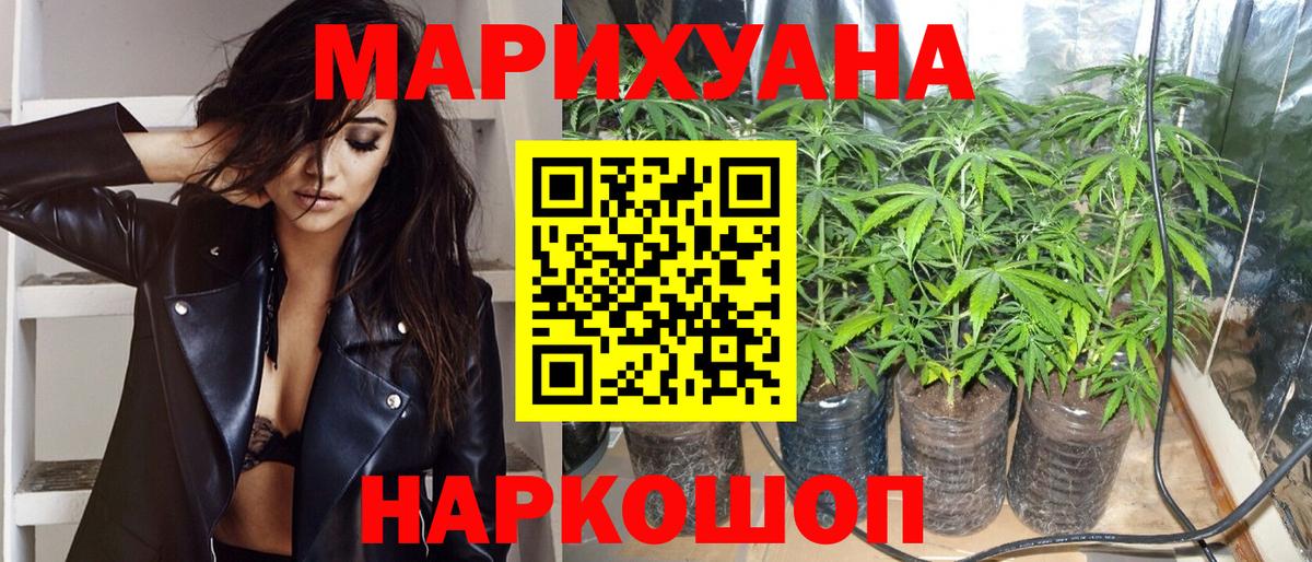 МАРИХУАНА сатива Чебаркуль